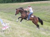 horseback riding horse jumping
