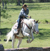 horseback riding lesson near houston