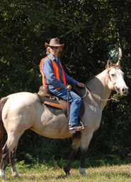 Sundance Horse Ranch - Houston Texas  281-585-8145