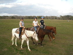 horseback riding lessons