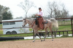 Sundance Horse Ranch - Houston Texas Horses for Sale 281-585-8145