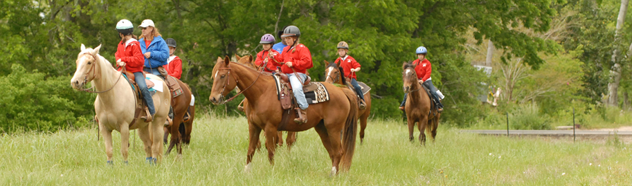Sundance Horse Ranch - Houston Texas Riding Lessons 281-585-8145