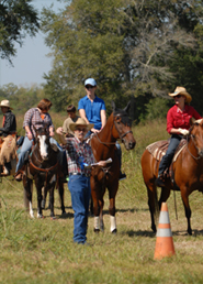 Sundance Horse Ranch - Houston Texas  281-585-8145